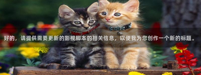 十八岁的天空分集剧情