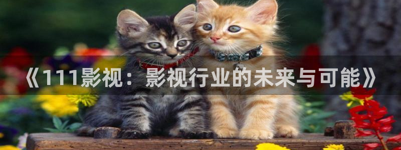 缘分の天空动漫在线观看无删减：《111影视：影视行业的未来与可能》