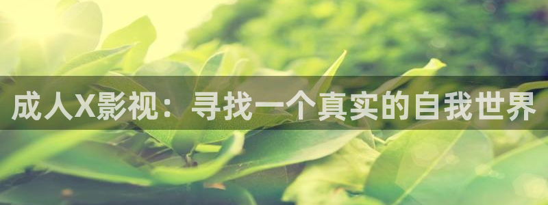 滚动的天空alan walker下载：成人X影视：寻找一个真实的自我世界