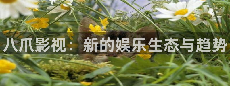 黄家驹海阔天空mv视频：八爪影视：新的娱乐生态与趋势