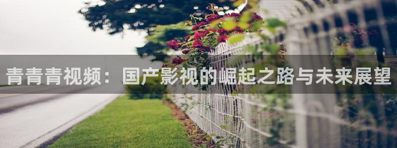 打开我天空 电影：青青青视频：国产影视的崛起之路与未来展望