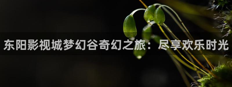 天空视频大全高清观看