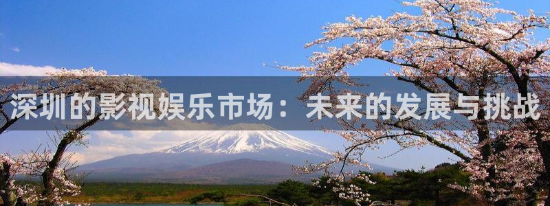 天空影院免费：深圳的影视娱乐市场：未来的发展与挑战