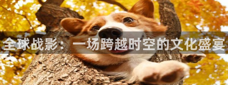 滚动的天空饭制大全下载：全球战影：一场跨越时空的文化盛宴